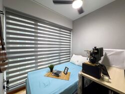 A Treasure Trove (D19), Condominium #555082781